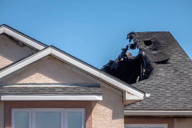 Top rated local Emergency Fire Cleanup specialists in Nokomis, FL